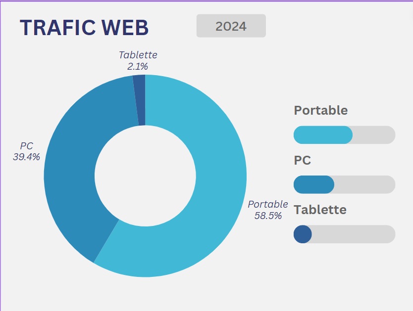 graphique camembert du trafic web en 2024